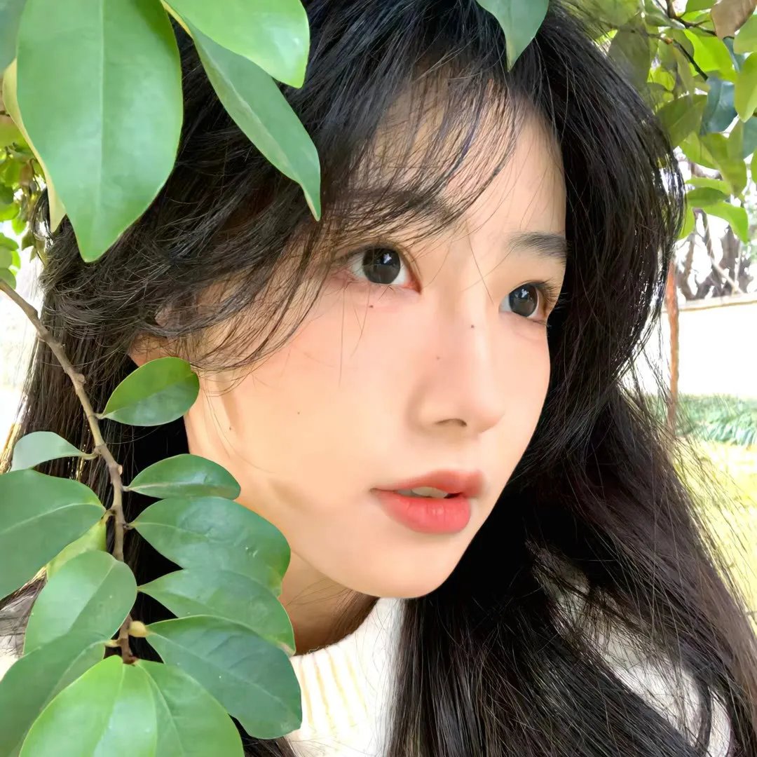 白手掌